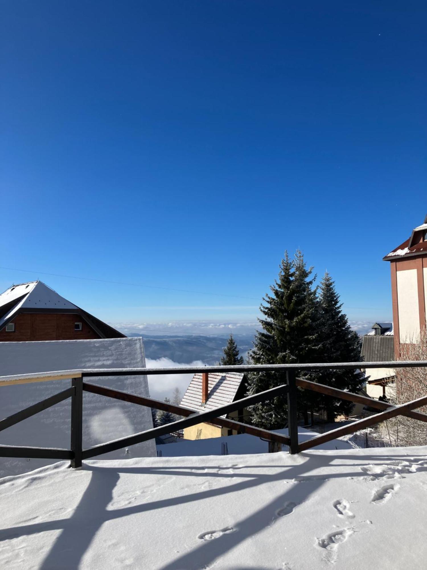 Zoara Apartment Kopaonik Bagian luar foto